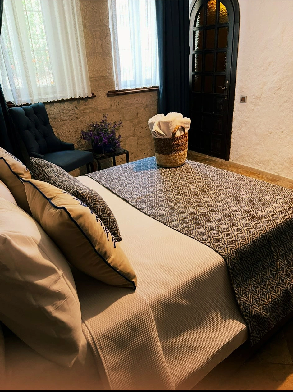 Medusa Premium Standart